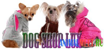 Предлагаю Dog shop lux - одежда для собак