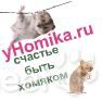 В гостях у Хомика