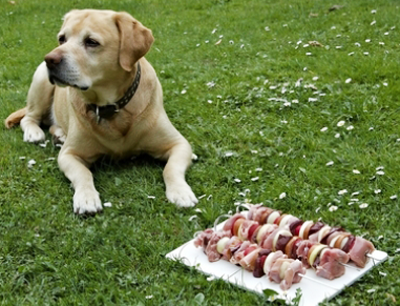 мясо для собаки