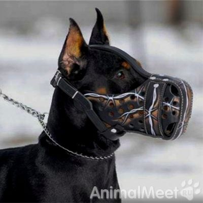 Опасные породы собак Опасные породы собак