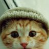 Котенок в шапочке
