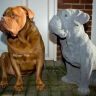 Собака и скульптура