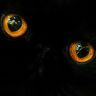 Глаза черной кошки