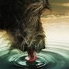 Важность воды в питании собак
