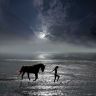 Лошадь и девушка идут по воде