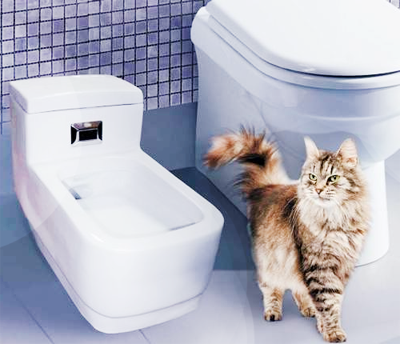 кошачий туалет (кошачий унитаз)