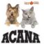 acanainfo