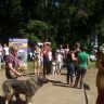 Выставка собак. Нерехта 20.07.2014 г. Фото 56.