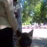 Выставка собак. Нерехта 20.07.2014 г. Фото 45.