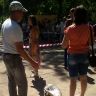 Выставка собак. Нерехта 20.07.2014 г. Фото 53.