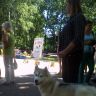 Выставка собак. Нерехта 20.07.2014 г. Фото 43.