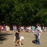 Выставка собак. Нерехта 20.07.2014 г. Фото 40.