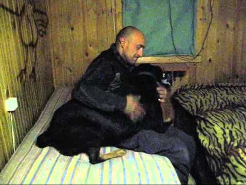 Ротвейлер Сэм ( Animal shelter )