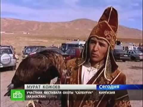 Фестиваль Беркутчи в Кыргызстане