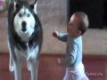 Собака поёт с ребёнком