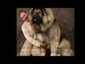 Десятка лучших и самых больших сторожевых собак в мире 2013