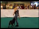 dancing rottweiler