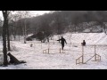 Artem & bearded collie Butterfly - Agility training