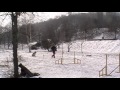 Bearded collie Winner - agility Training